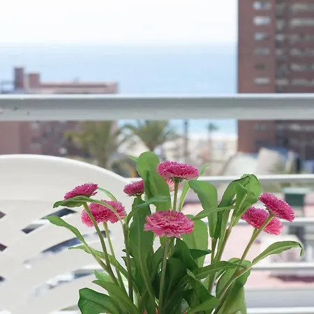 Niza Appartement